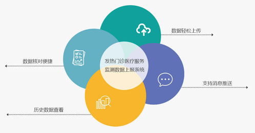 發(fā)熱門診醫(yī)療服務(wù)監(jiān)測數(shù)據(jù)上報(bào)系統(tǒng) 數(shù)據(jù)處理服務(wù)的核心作用與挑戰(zhàn)
